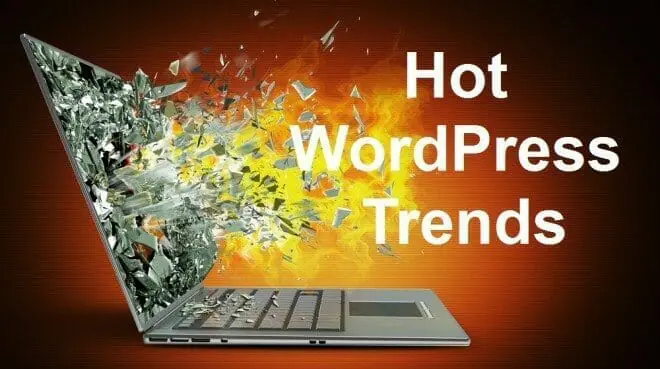 Professional WordPress training in Gold Coast